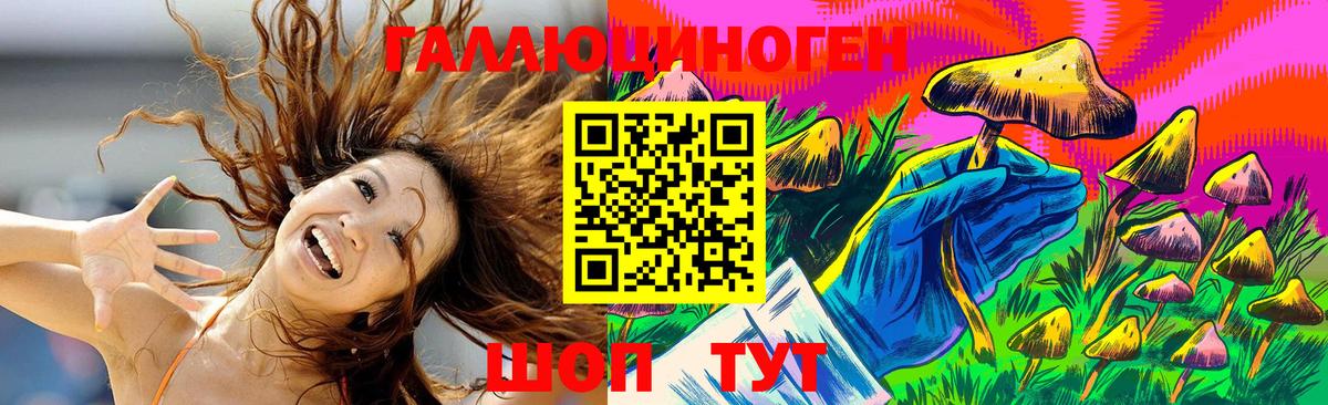Омск  Галлюциногенные грибы GOLDEN TEACHER  Вход с VPN  Галлюциногенные грибы Psilocybe 